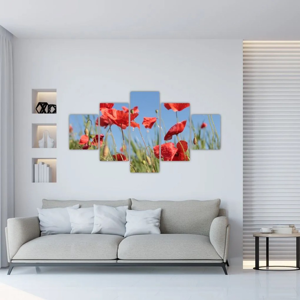 Obraz - Maki (125x70 cm)