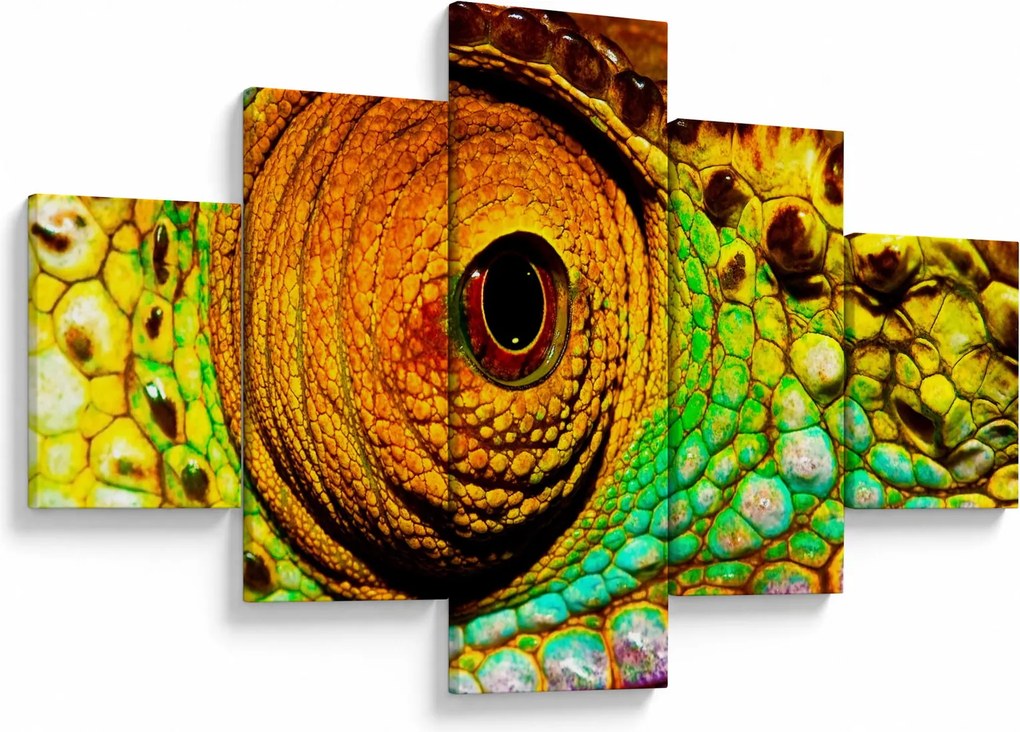 Obraz - Kameleon (125x70 cm)