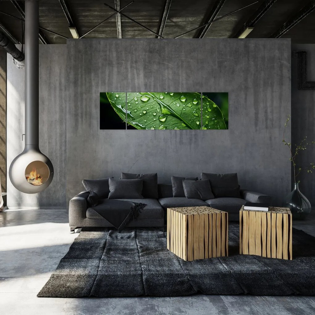 Obraz - Liść po deszczu (170x50 cm)
