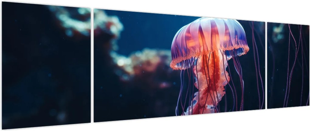 Obraz - Meduza (170x50 cm)