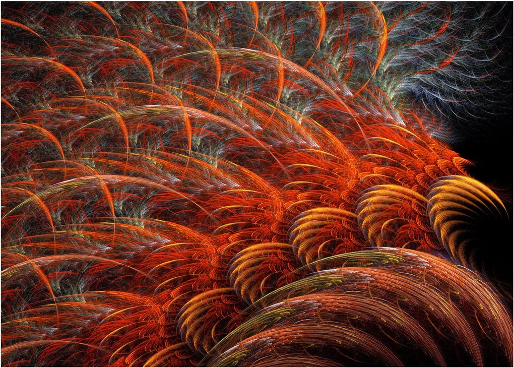 Obraz - Abstrakcyjna imitacja piór (70x50 cm)