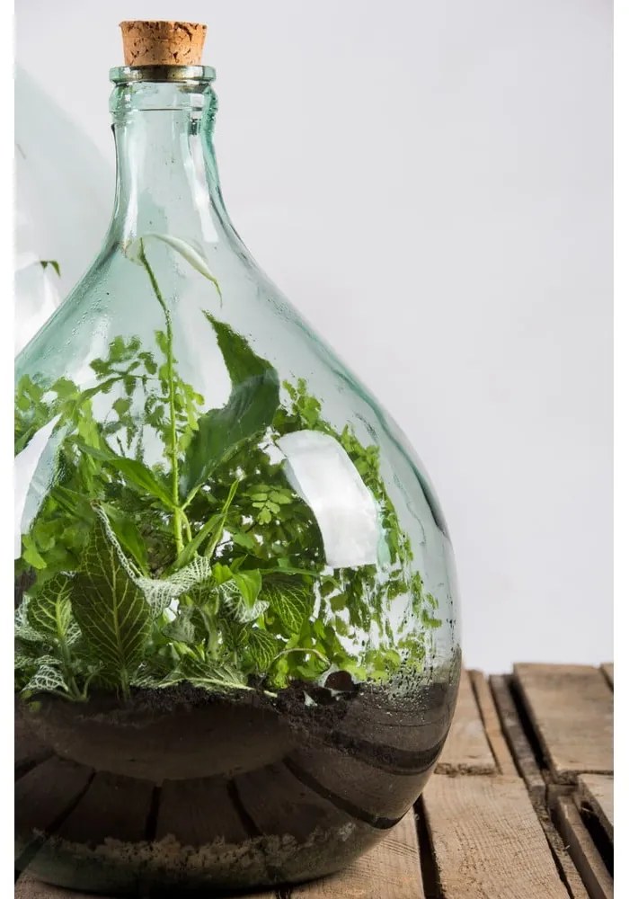 Szklane terrarium z narzędziami do uprawy roślin Esschert Design, 15 l
