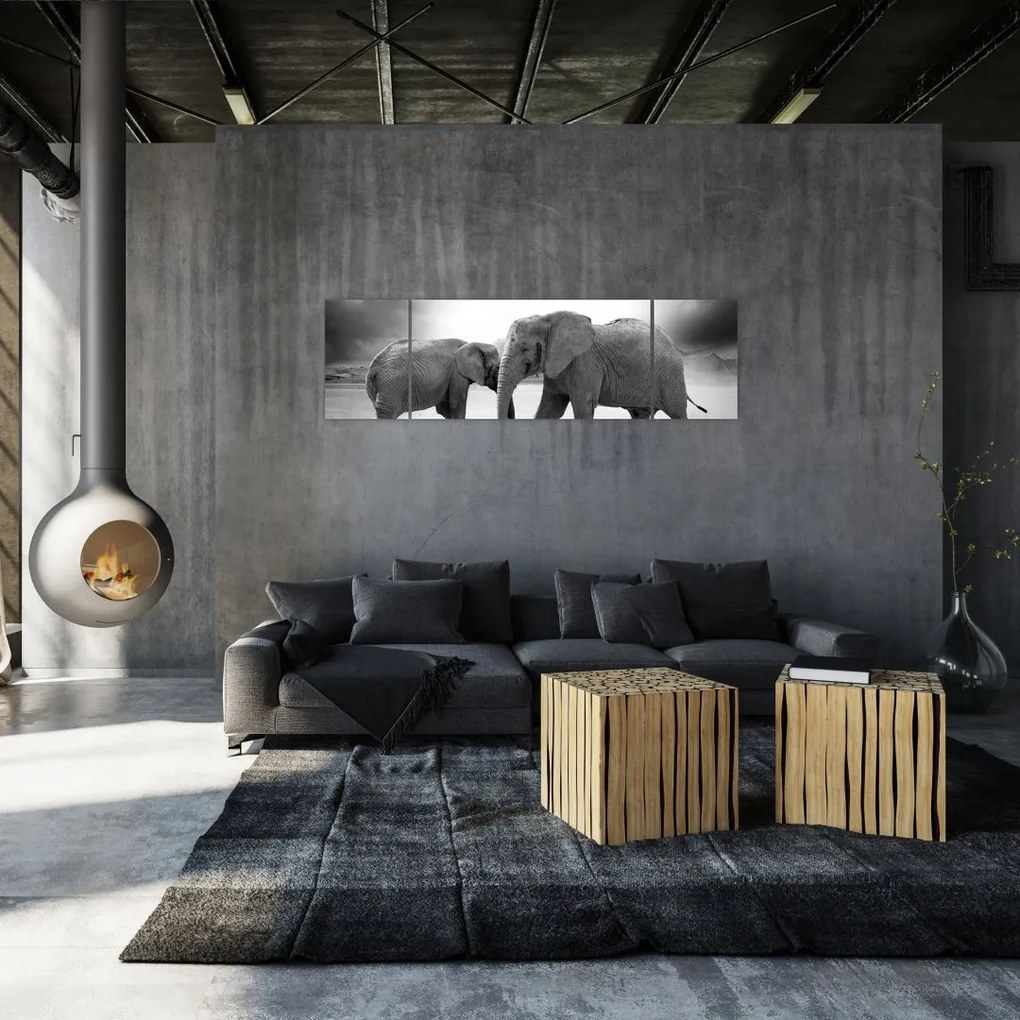 Obraz - czarno - białe słonie (170x50 cm)