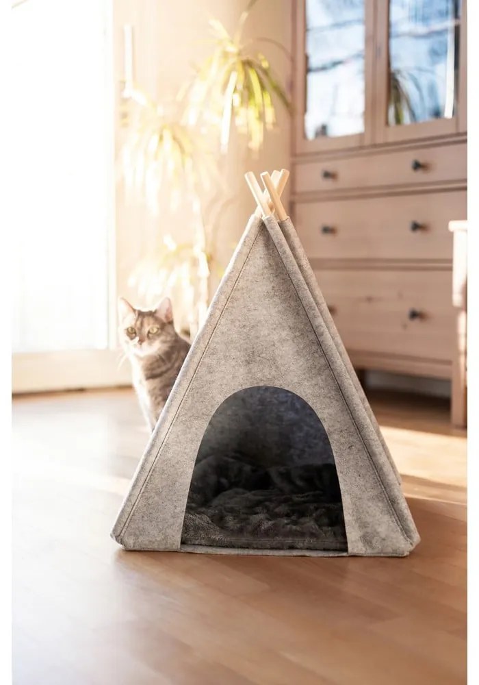 Jasnoszare tipi dla czworonogów Wenko