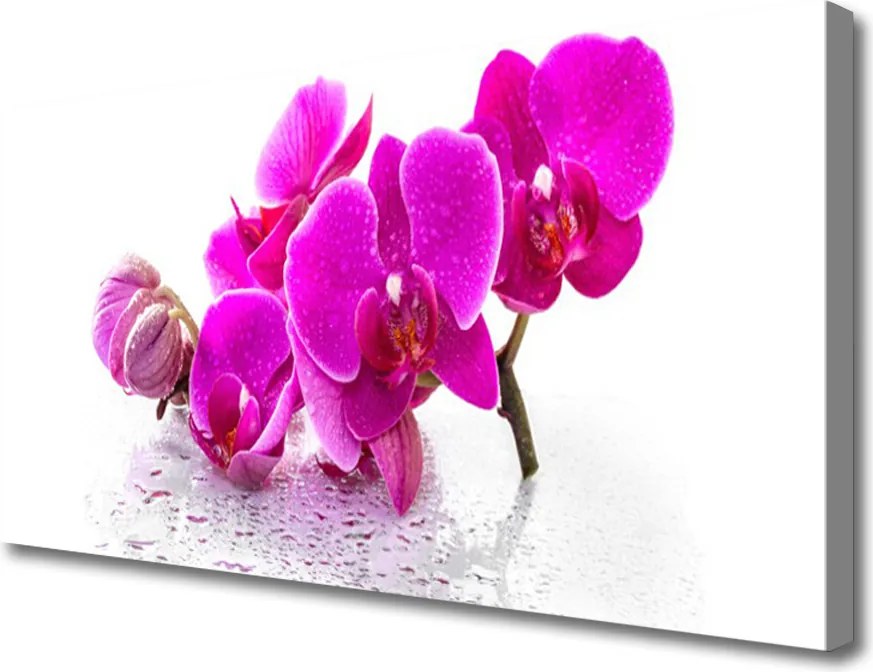 Obraz canvas Rozkwitająca Łąka Ścienna