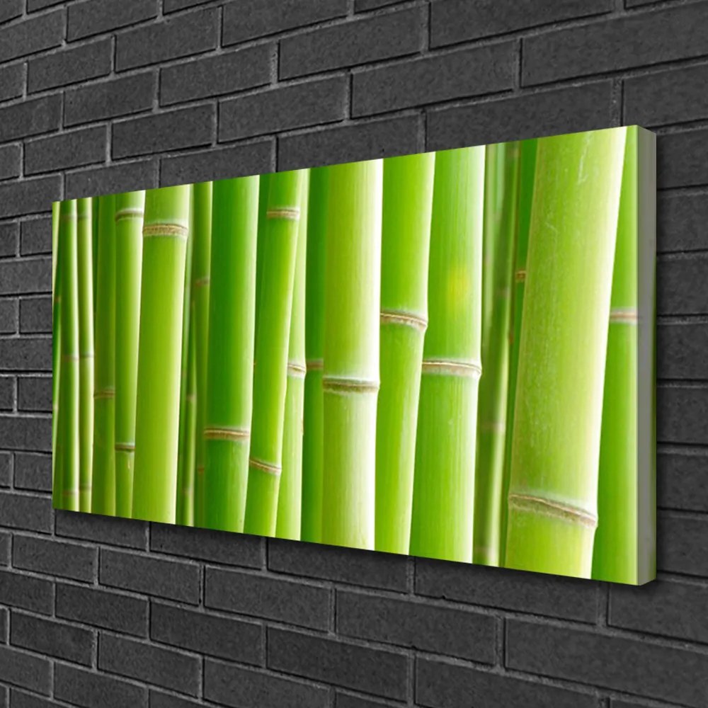 Obraz na płótnie Egzotyczny Kwiat i Bambus