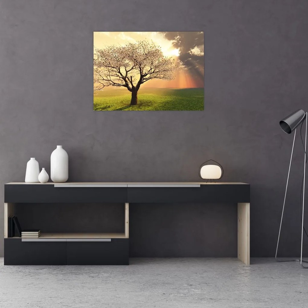 Obraz na szkle drzewa na łące (70x50 cm)