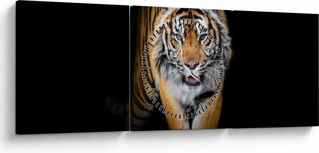 Obraz - Tygrys (z zegarem) (90x30 cm)