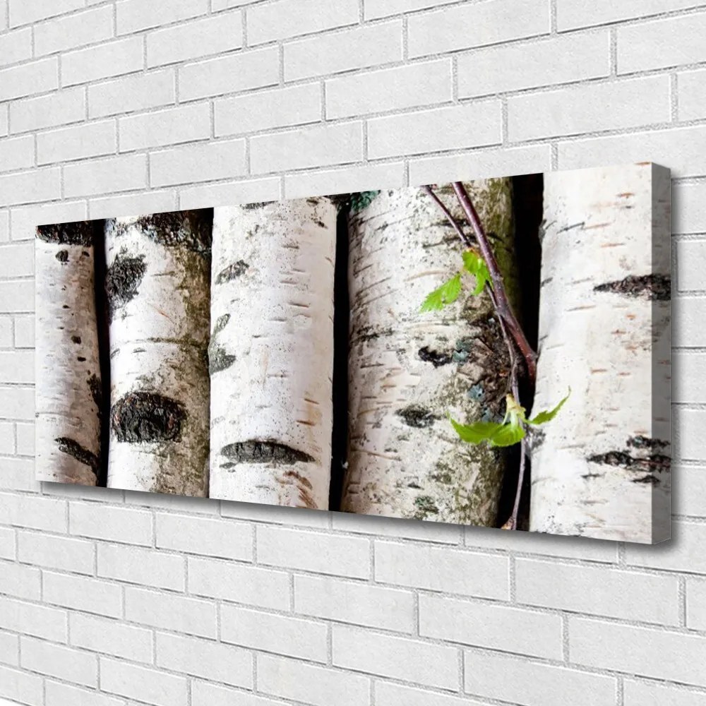 Obraz na płótnie Sylwetka Starego Drzewa