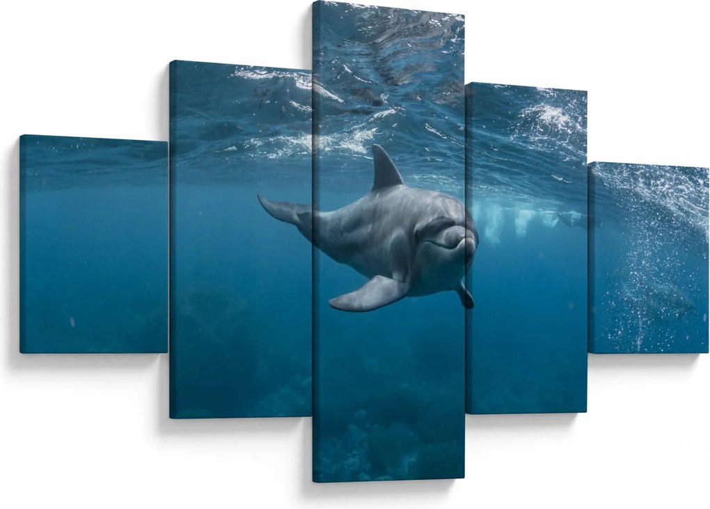 Obraz - Delfin pod wodą (125x70 cm)