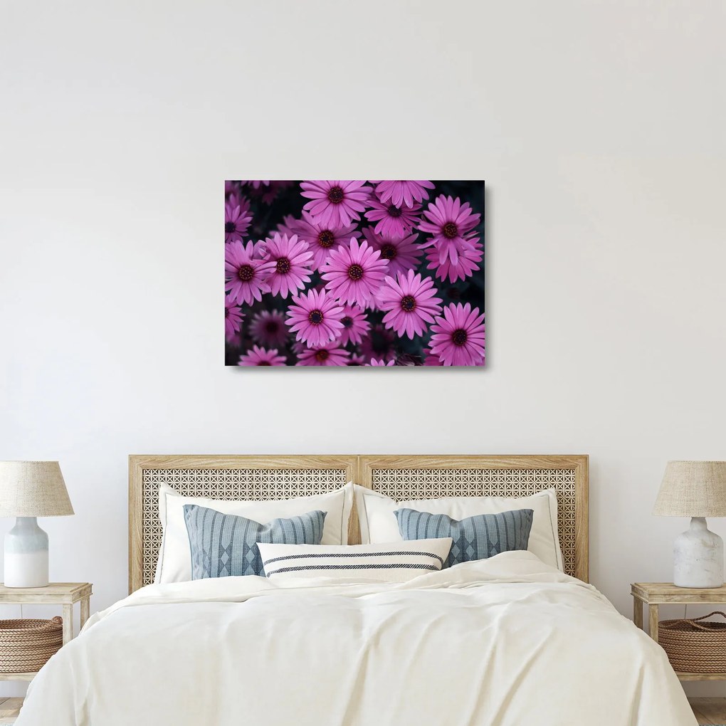 Obraz na szkle - różowe kwiaty (70x50 cm)