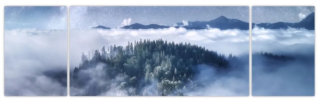 Obraz lasu we mgle (170x50 cm)