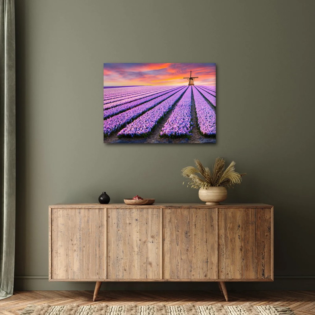 Obraz - farma kwiatów (70x50 cm)