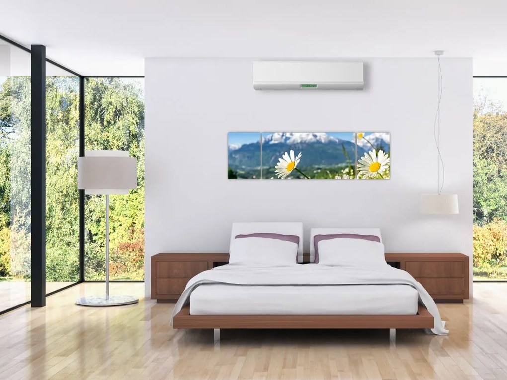 Obraz - Wiosna w Alpach (170x50 cm)