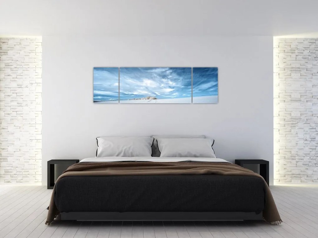Obraz pola (170x50 cm)