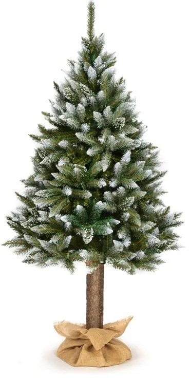 CHOINKA ŚWIERK DIAMENTOWY NA PNIU 160 CM OŚNIEŻONY