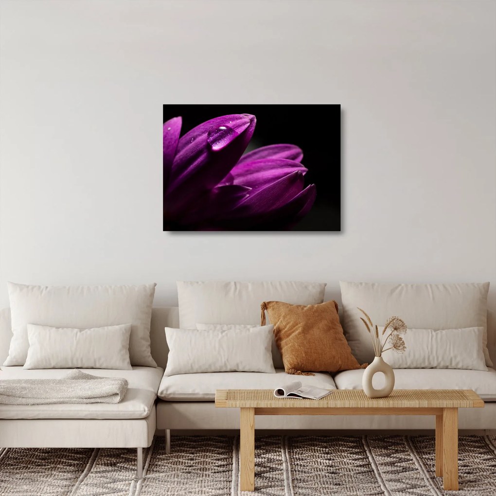 Obraz na szkle  - Kropla wody (70x50 cm)