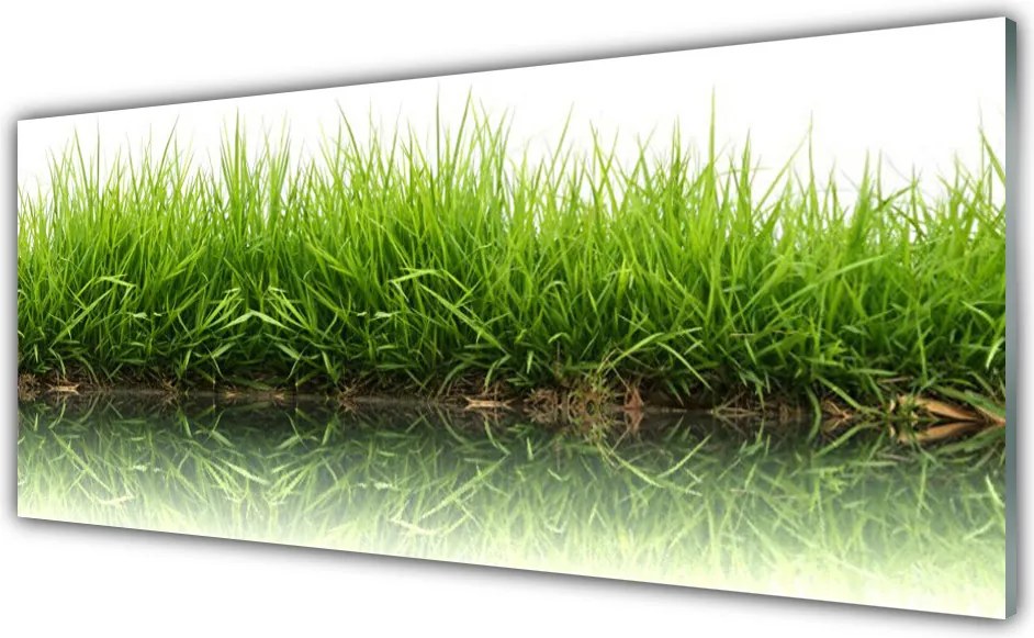 Panel Kuchenny Naturalna Świeżość Zieleni