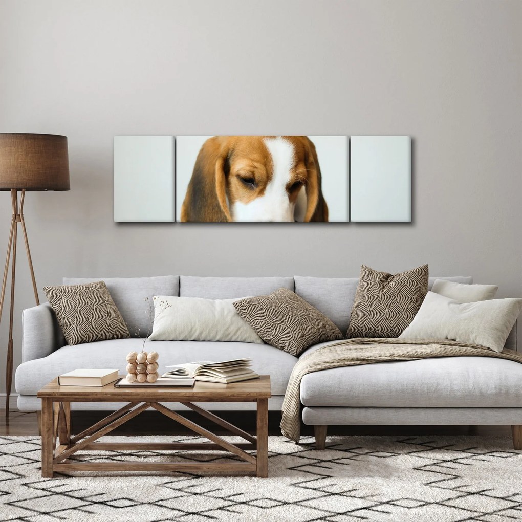 Obraz Beagle (170x50 cm)