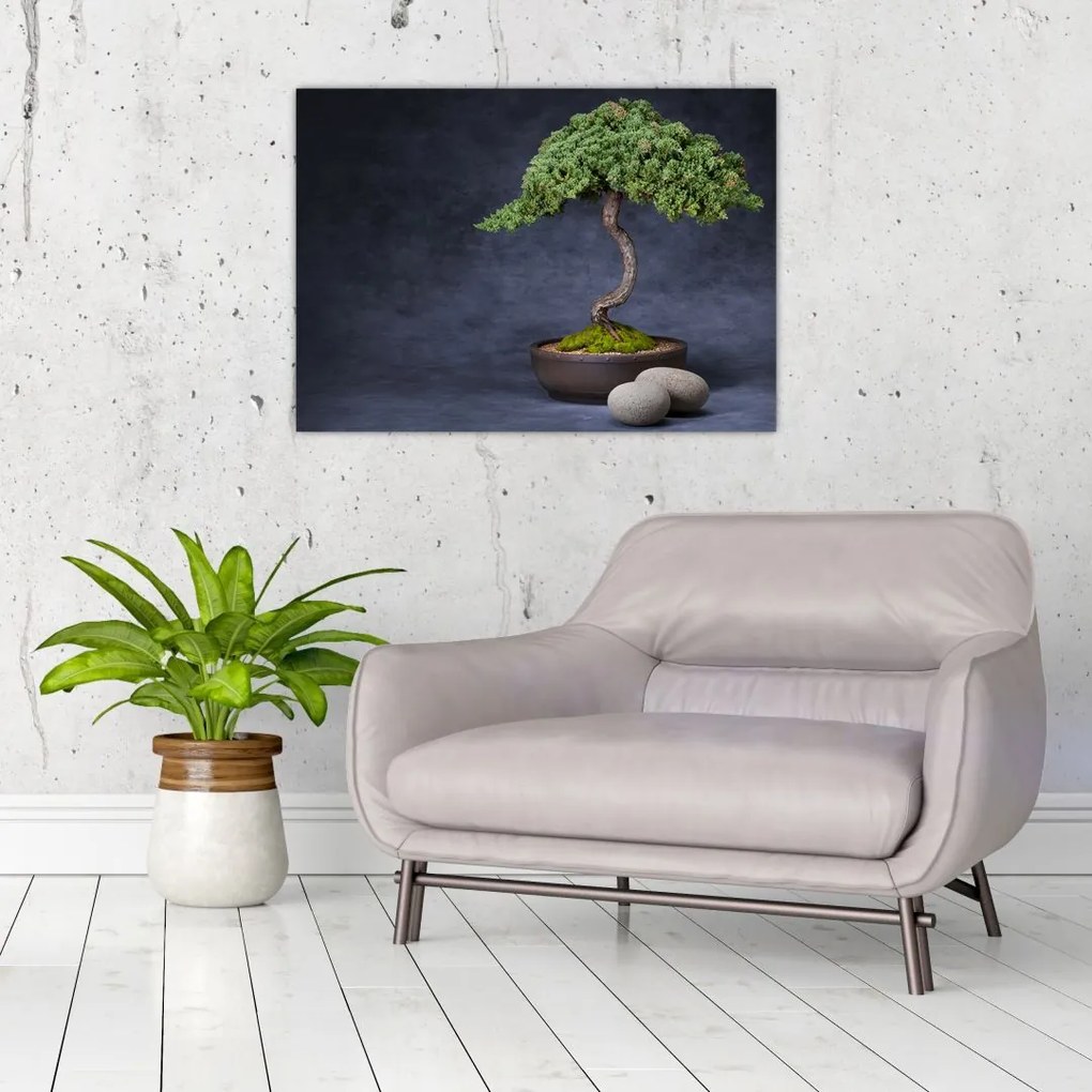 Obraz na szkle - Bonsai (70x50 cm)