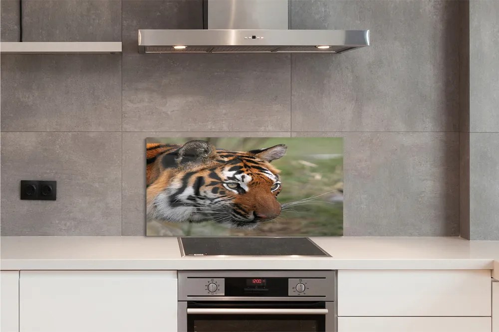 Panel szklany do Kuchni Władca Dżungli w Gęstwinie