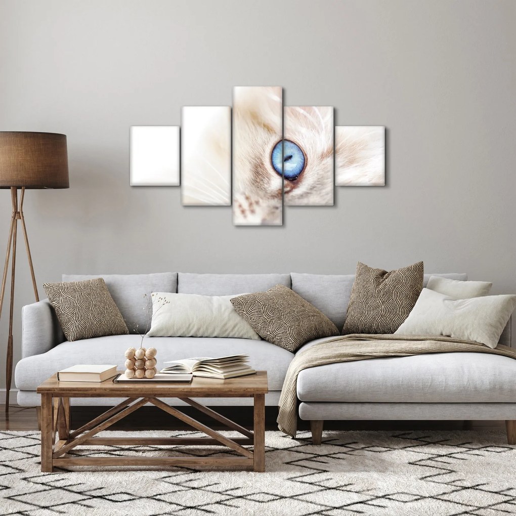 Obraz - Kotek (125x70 cm)