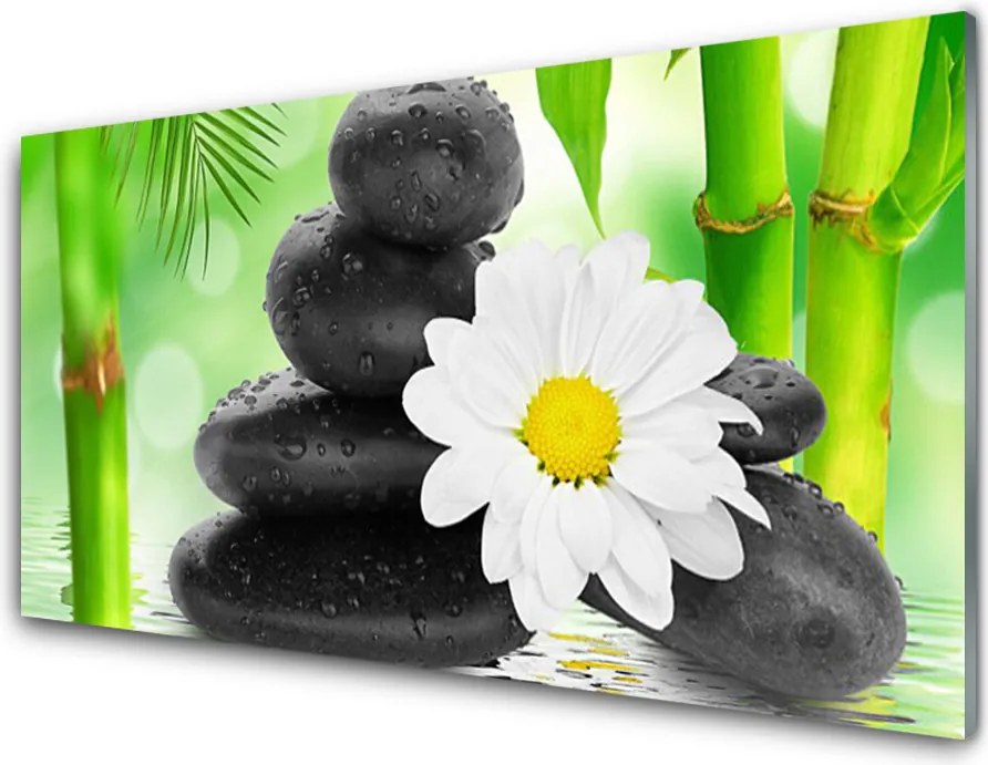 Panel Szklany Nieoczekiwany Duet: Bambus i Stokrotka