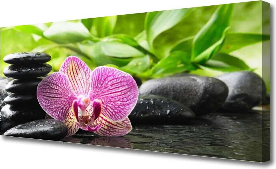 Duży obraz na płótnie Harmonijne Połączenie Zen