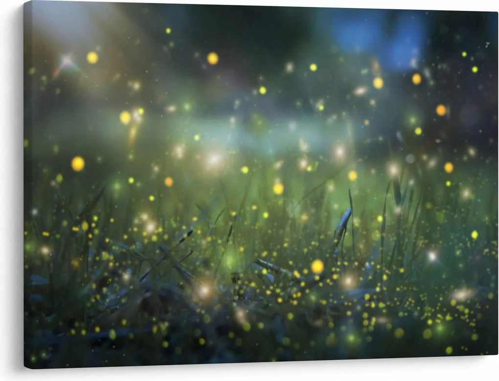 Obraz - Magiczna noc (70x50 cm)