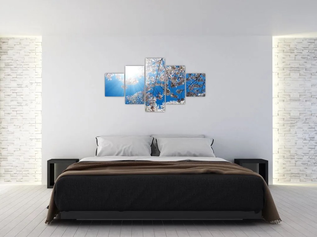 Obraz - Wiśniowe kwiaty (125x70 cm)