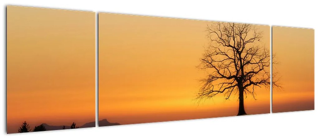 Obraz zachodu słońca na łące (170x50 cm)