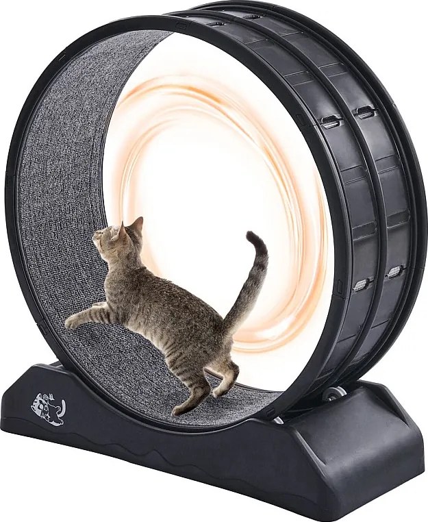 Koło do Ćwiczeń dla Kota, SucceBuy Koło do Ćwiczeń dla Kota 80 cm Duża Bieżnia Wewnętrzna Czarna