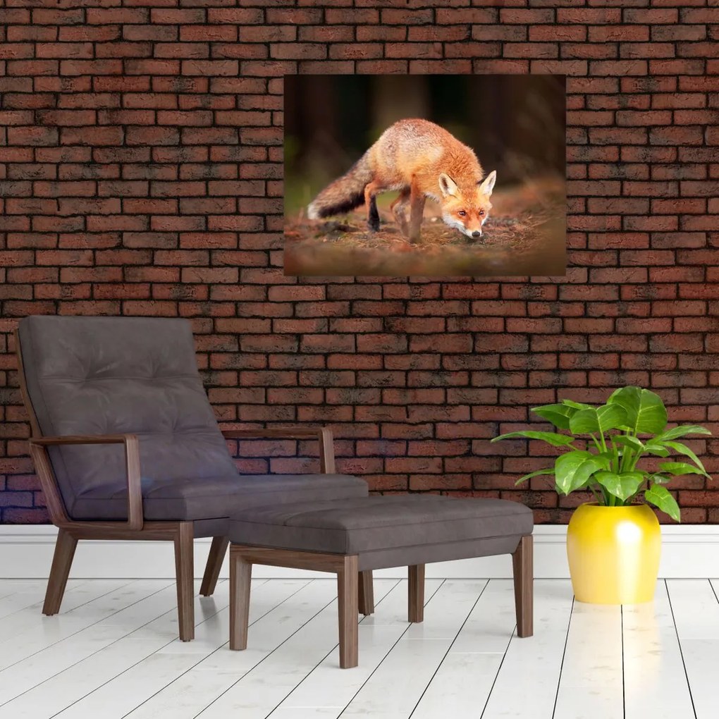 Obraz - Lis w lesie (70x50 cm)