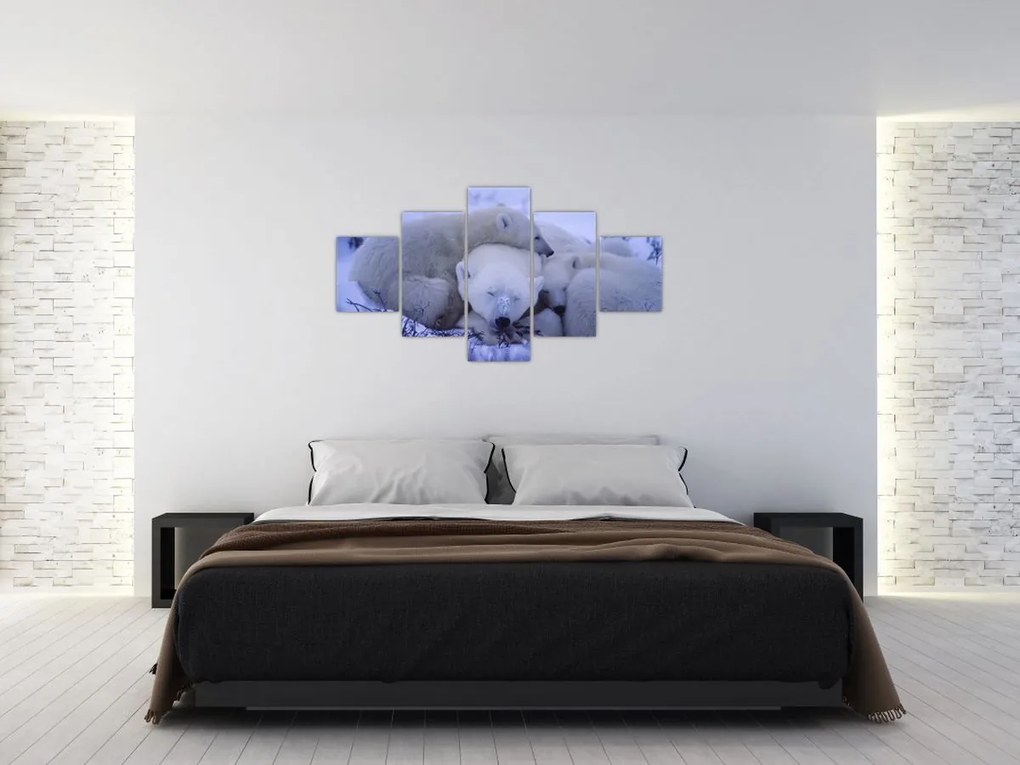 Obraz - Niedźwiadki polarne (125x70 cm)