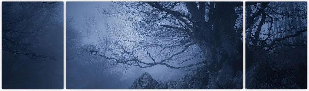 Obraz ciemnego lasu (170x50 cm)