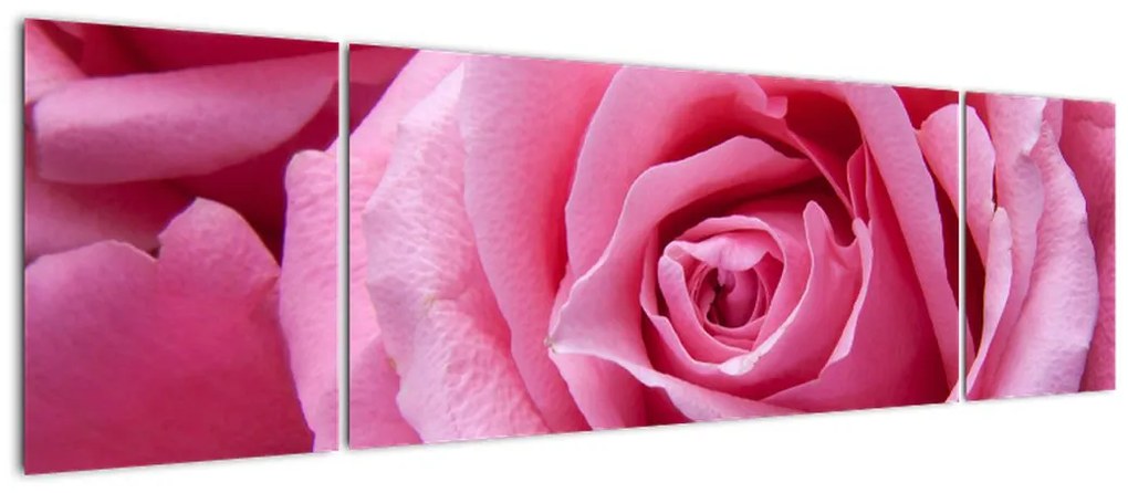 Obraz róży (170x50 cm)