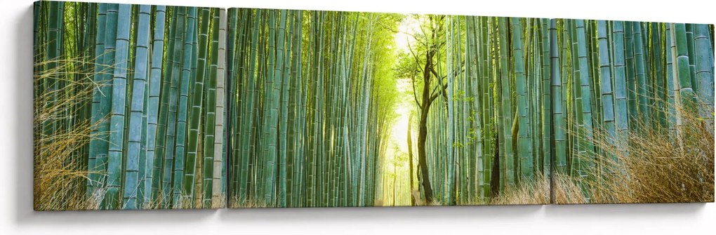 Obraz - Las bambusowy (170x50 cm)