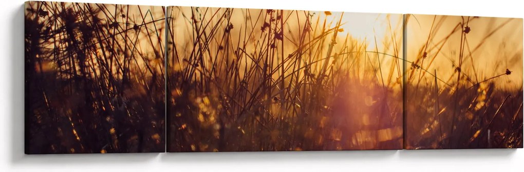 Obraz pola o zachodzie słońca (170x50 cm)