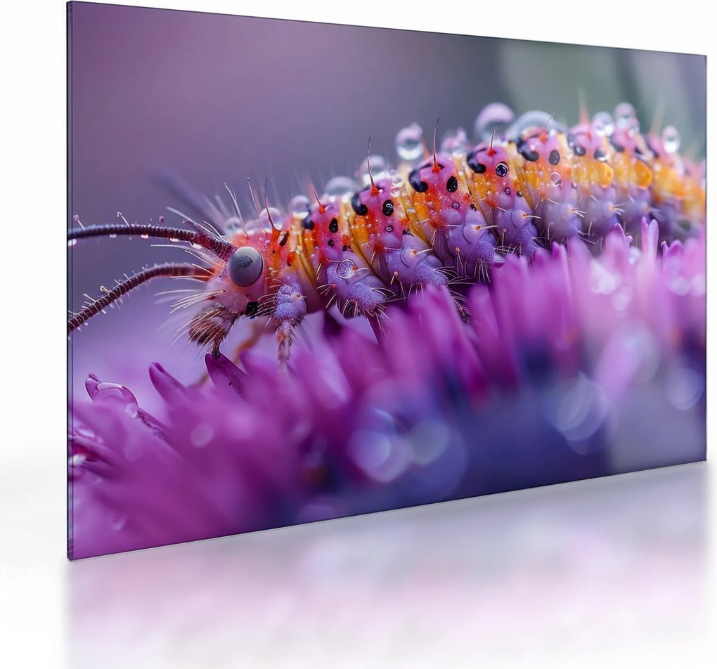 Obraz na szkle - Caterpillar (70x50 cm)