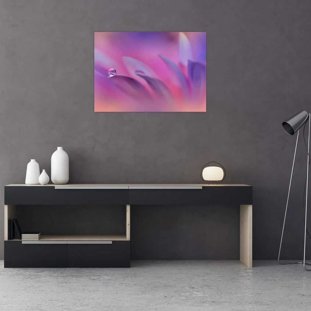Obraz - Kropla na kwiecie (70x50 cm)