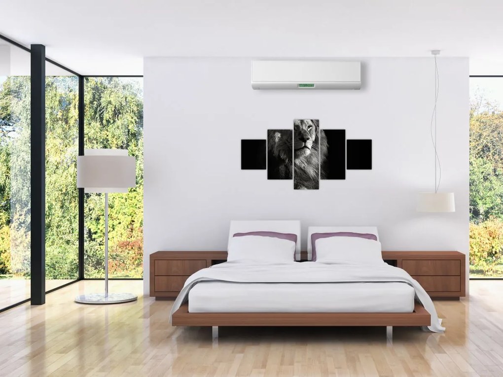 Obraz - Lew (125x70 cm)