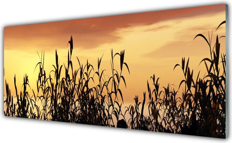 Szkło do Kuchni na Ścianę Liście w Kolorach Zachodzącego Słońca