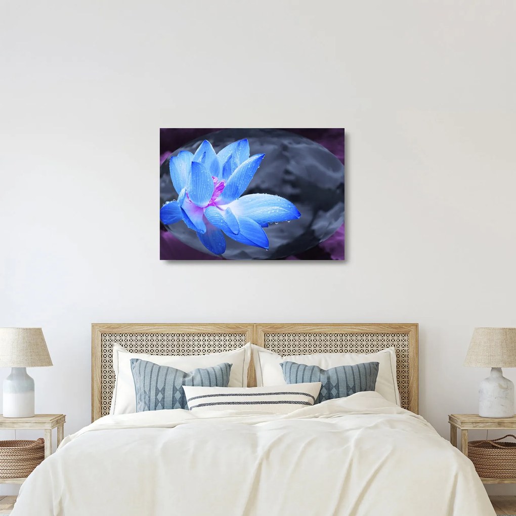 Obraz na szkle szczegółu kwiatu (70x50 cm)