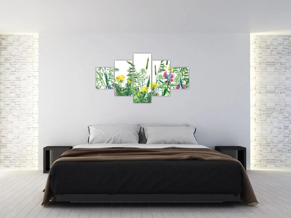 Obraz - Malowane kwiaty łąkowe (125x70 cm)