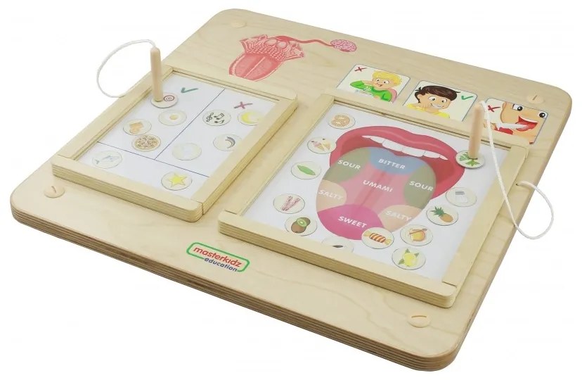 Masterkidz tablica edukacyjna zmysł smaku montessori
