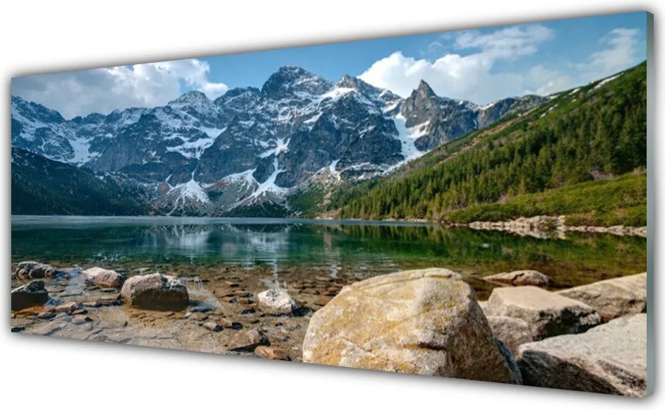 Panel Szklany do Kuchni Majestat Tatrzańskiej Natury