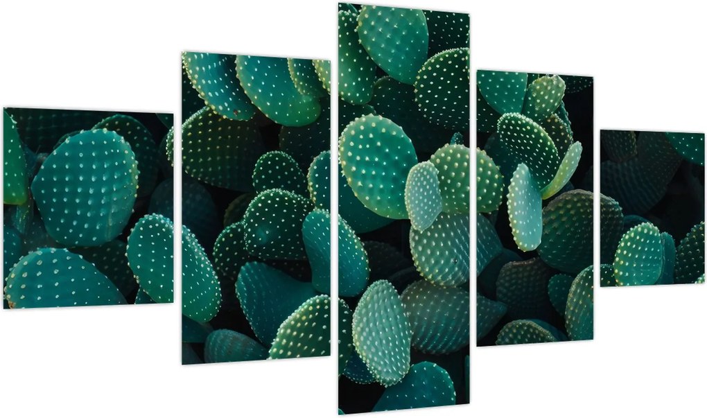Obraz - Opuncja (125x70 cm)