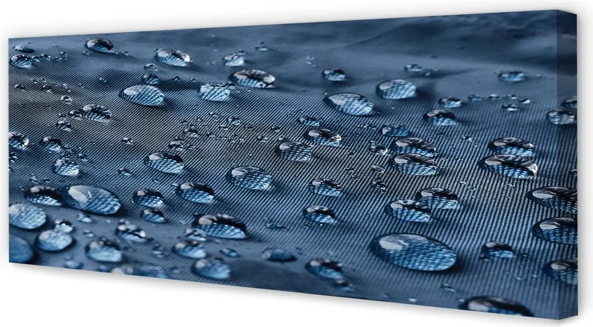 Fotoobraz na płótnie Mikroświat Kropli Wody