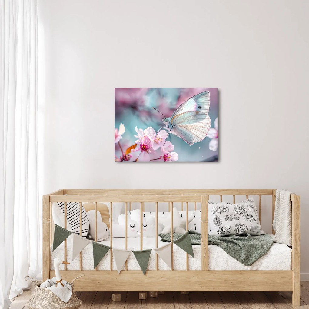 Obraz - Motyl na drzewie wiśni (70x50 cm)