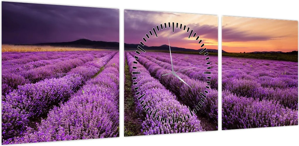 Obraz - Pole lawendy o zachodzie słońca (z zegarem) (90x30 cm)